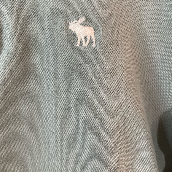 Abercrombie & Fitch Green Polo Shirt Men’s Size M Classic Logo Cotton Casual - Picture 3 of 4